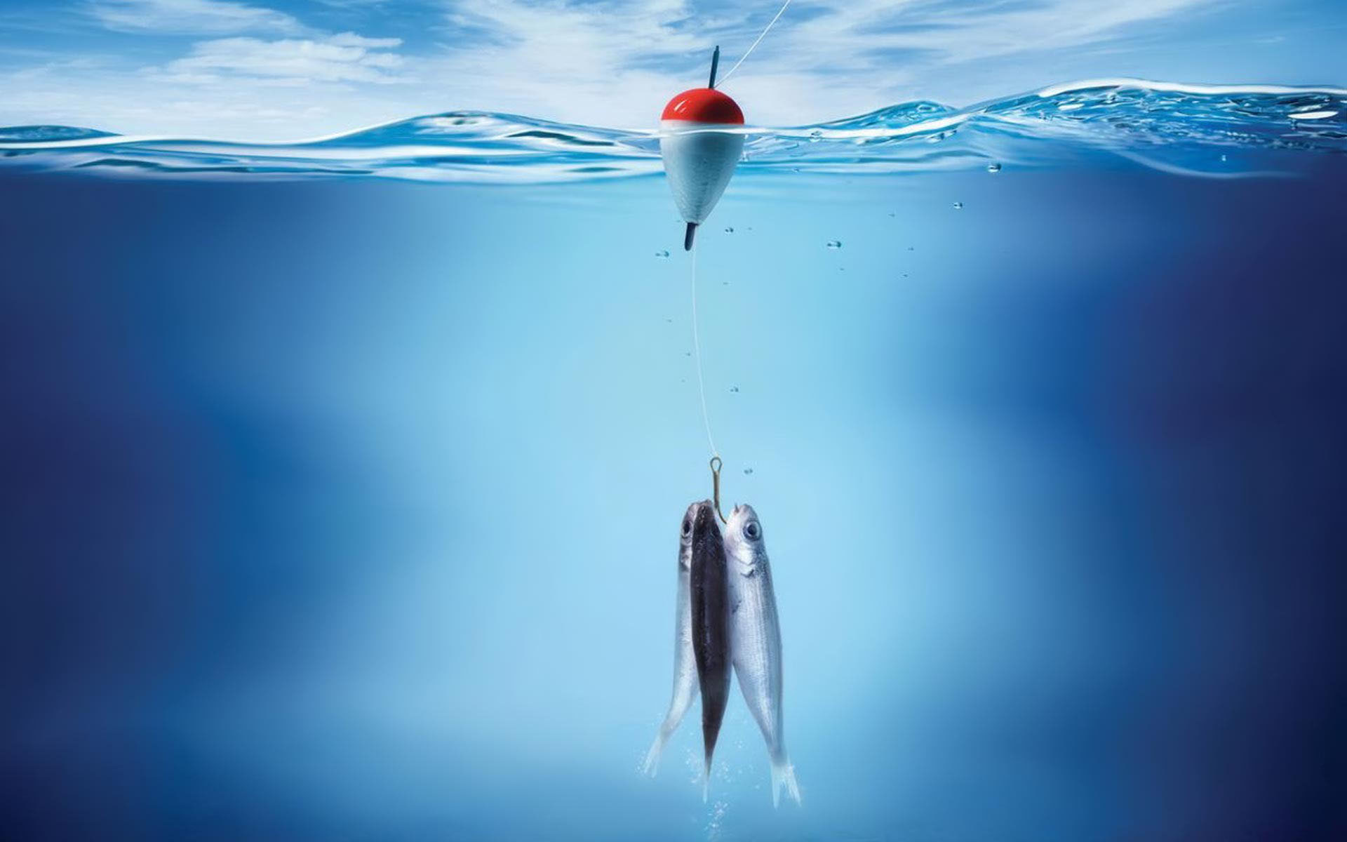 Samson Lures